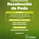 Imagen de WhatsApp 2025-05-16 a las 11.41.37_5ebad6b5