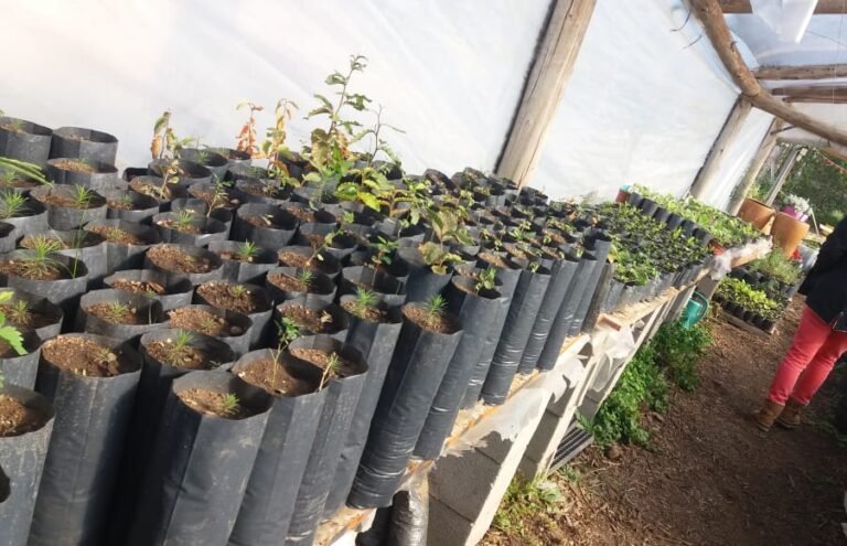 “Nuestra Tierra, identidad sanantoniense”