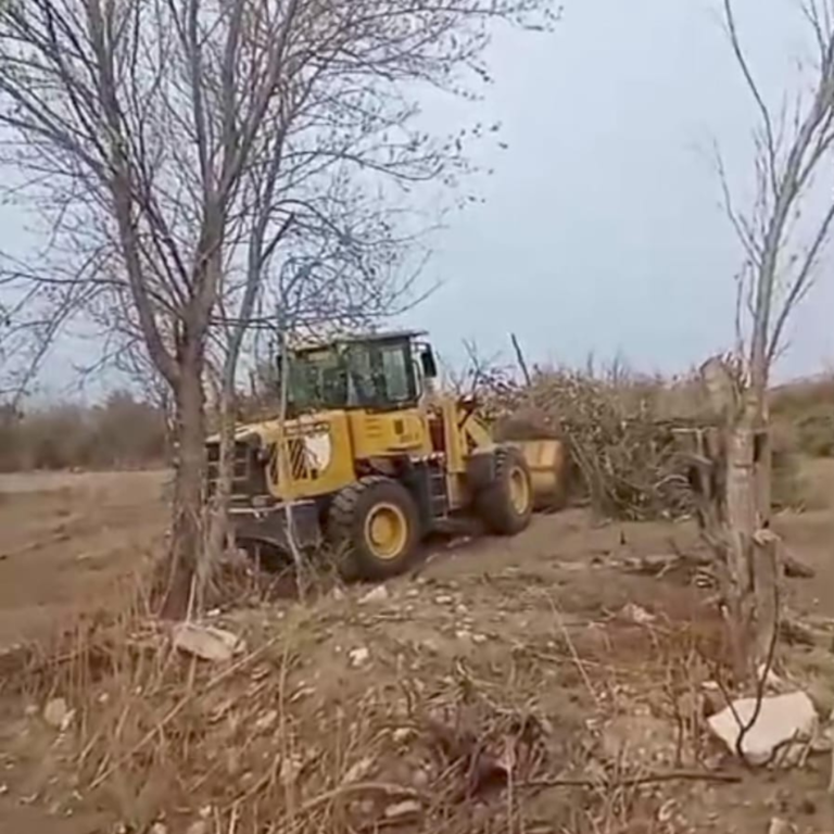 Funcionalización del Predio Ambiental en el Barrio Terrazas