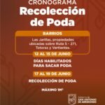 Imagen de WhatsApp 2025-05-16 a las 11.41.37_383c9a05