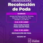 Imagen de WhatsApp 2025-05-16 a las 11.41.38_4d10df65