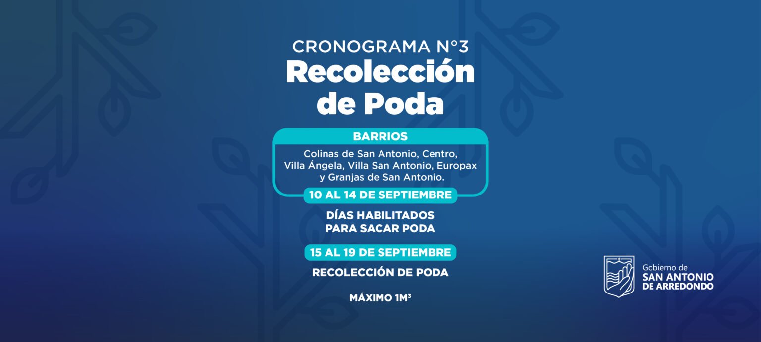 Mesa de trabajo 1