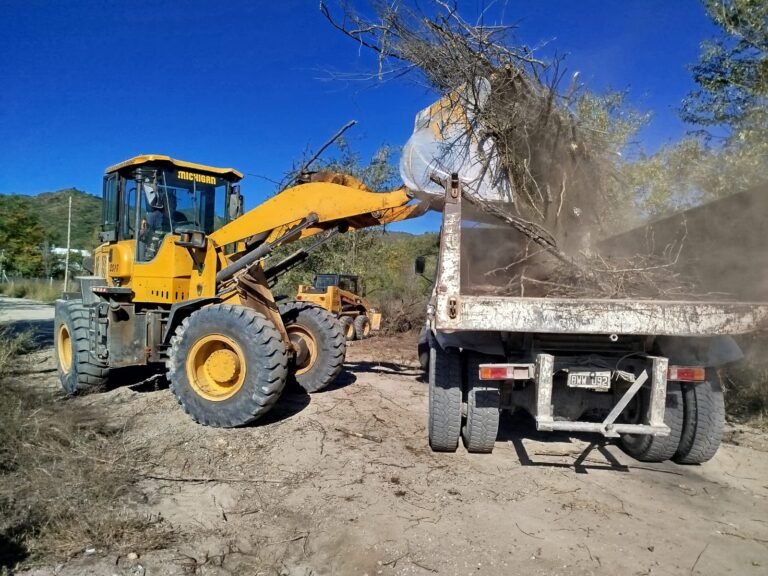San Antonio de Arredondo finalizó el primer cronograma anual de poda y prepara una nueva etapa de trabajo en junio